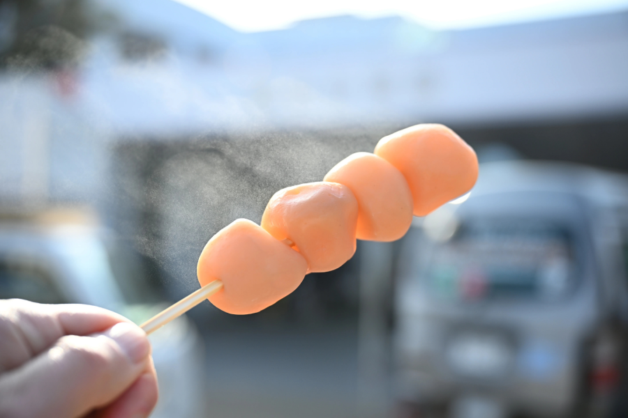 しろとりだちょう村